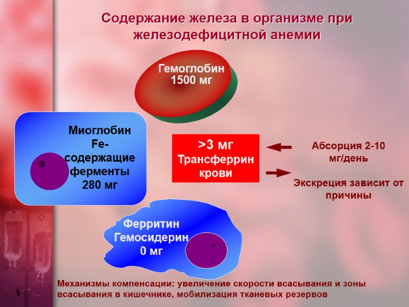 Содержание железа в организме при железодефицитной анемии Механизмы компенсации: увеличение скорости всасывания и зоны